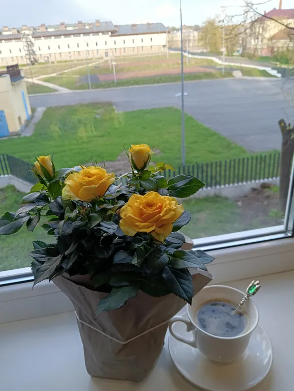 Квартира в центре на набережной