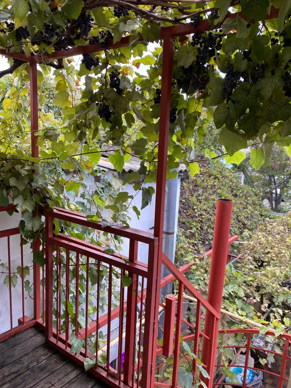 Квартира 2-комнатная Квартира — Анапа