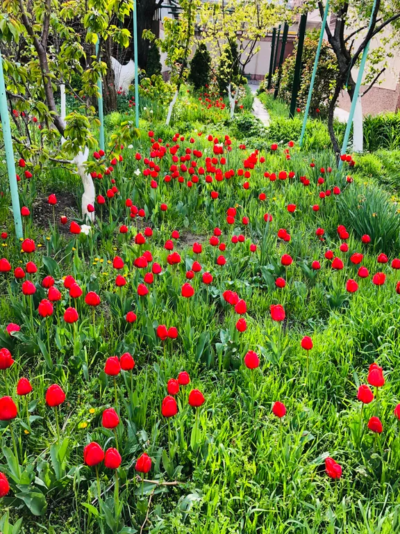 Вилли с бассейном