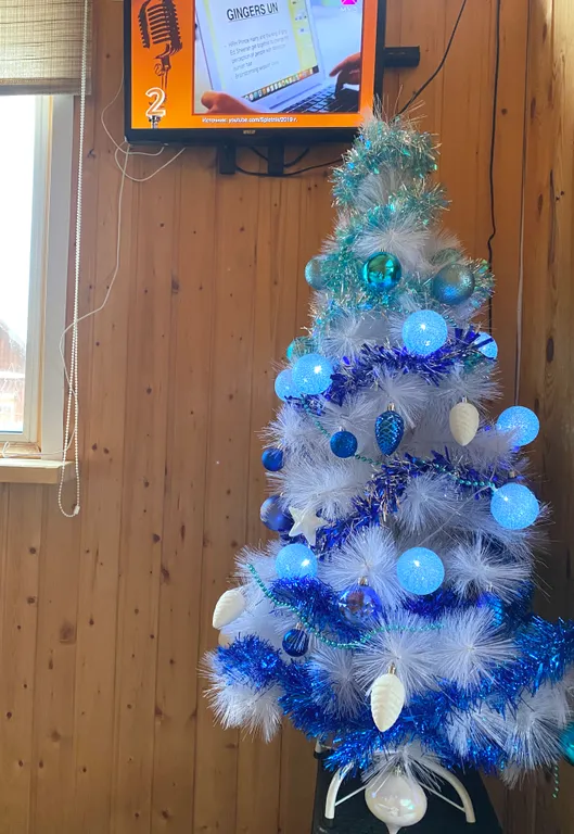 Дом и баня на участке 40 соток