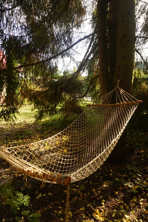 Дом с камином в лесу возле залива