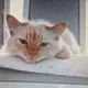 Уютный дом