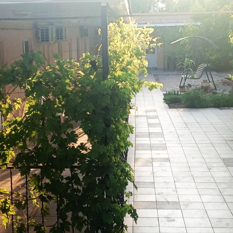 Комфортный отдых на побережье Чёрного моря