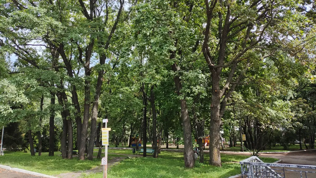 Дизайнерская квартира