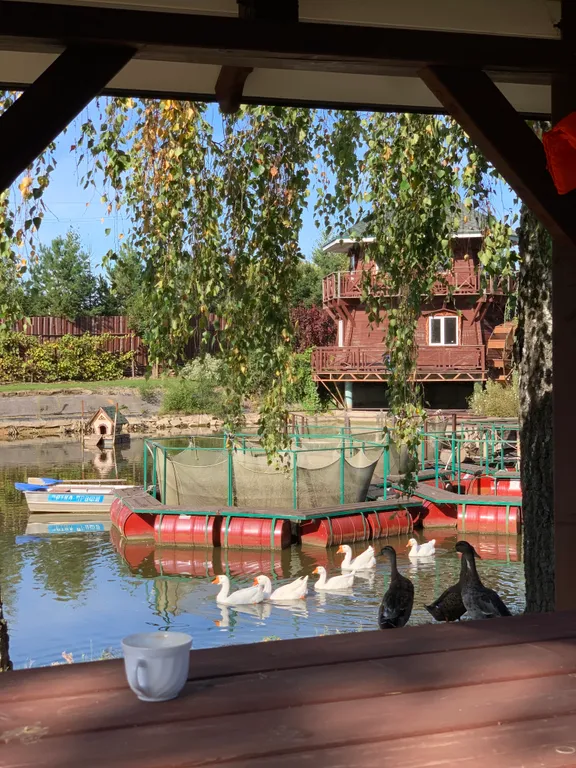 Дом у пруда