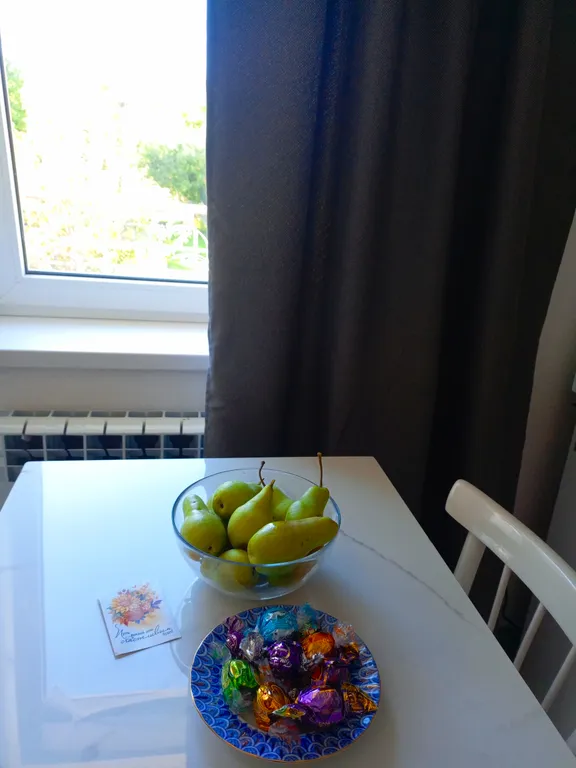 Чистая студия с евро ремонтом и красивым видом на горы