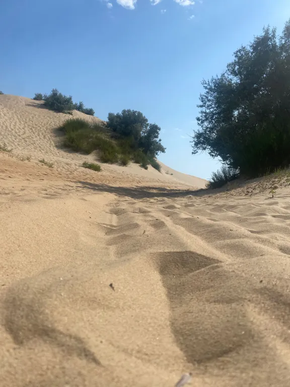 2-местный эконом