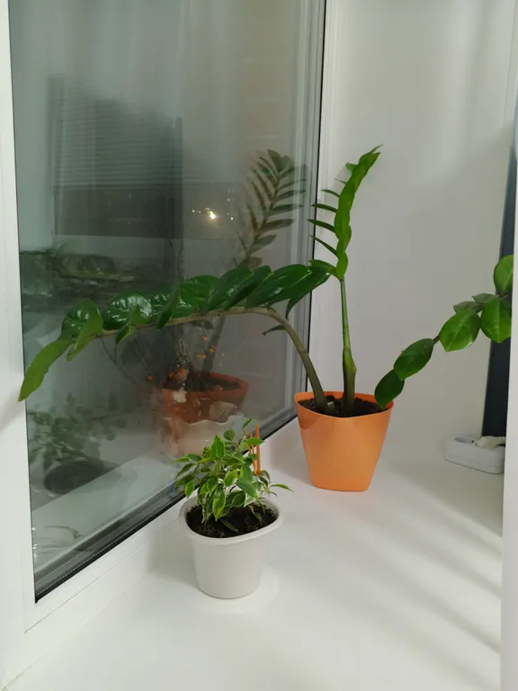 Уютная квартира в центре города!