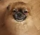 Марина