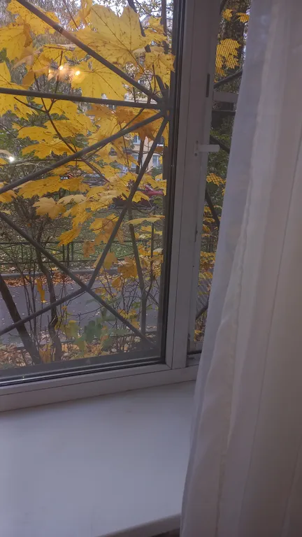 Квартира Комната недалеко от центра — Санкт-Петербург