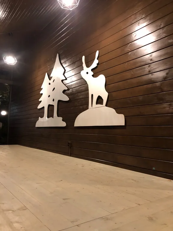 Сосновое шале на берегу Сямозера