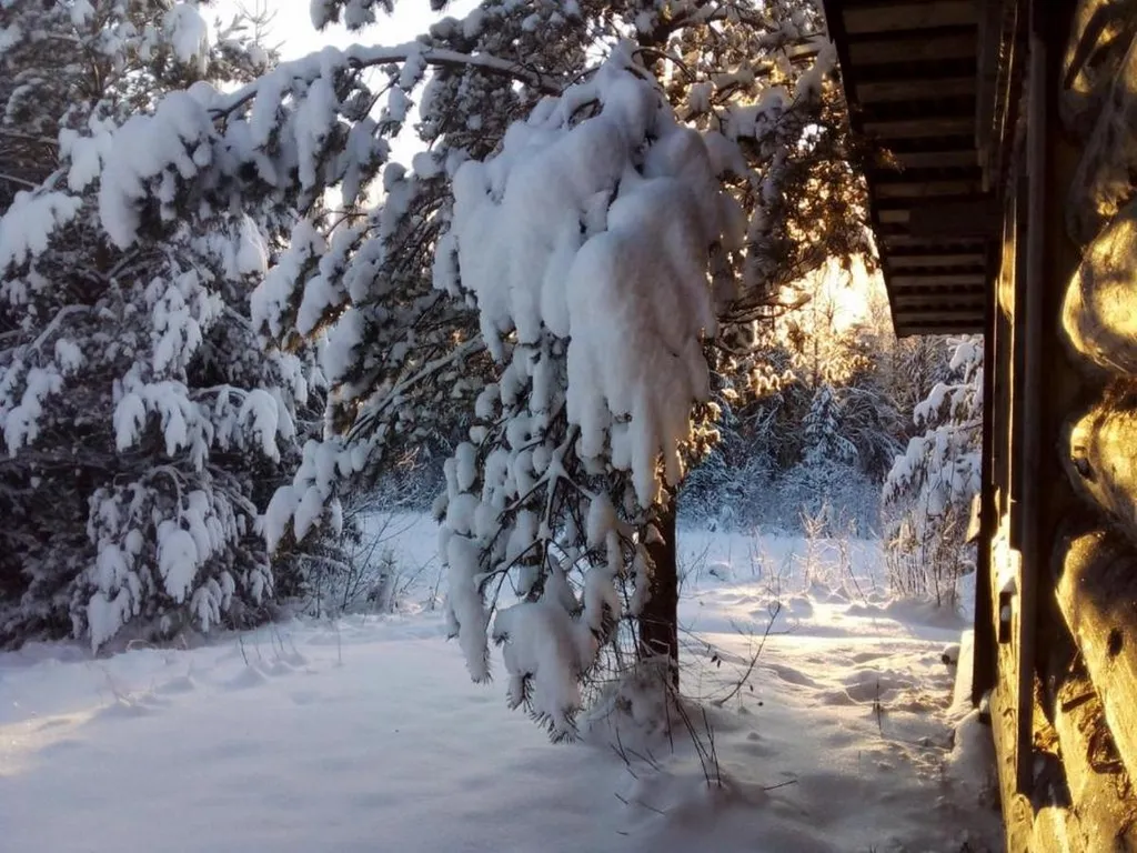 Заимка Остров: уютный домик для отдыха и рыбалки