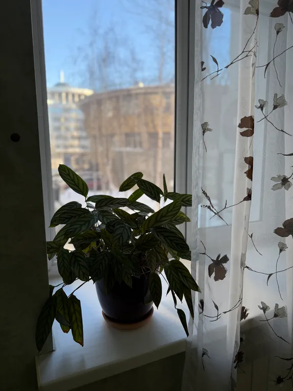 Квартира Евро двухкомнатная квартира в центре города — Казань