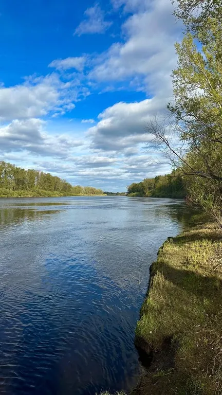 Уютный домик на берегу реки