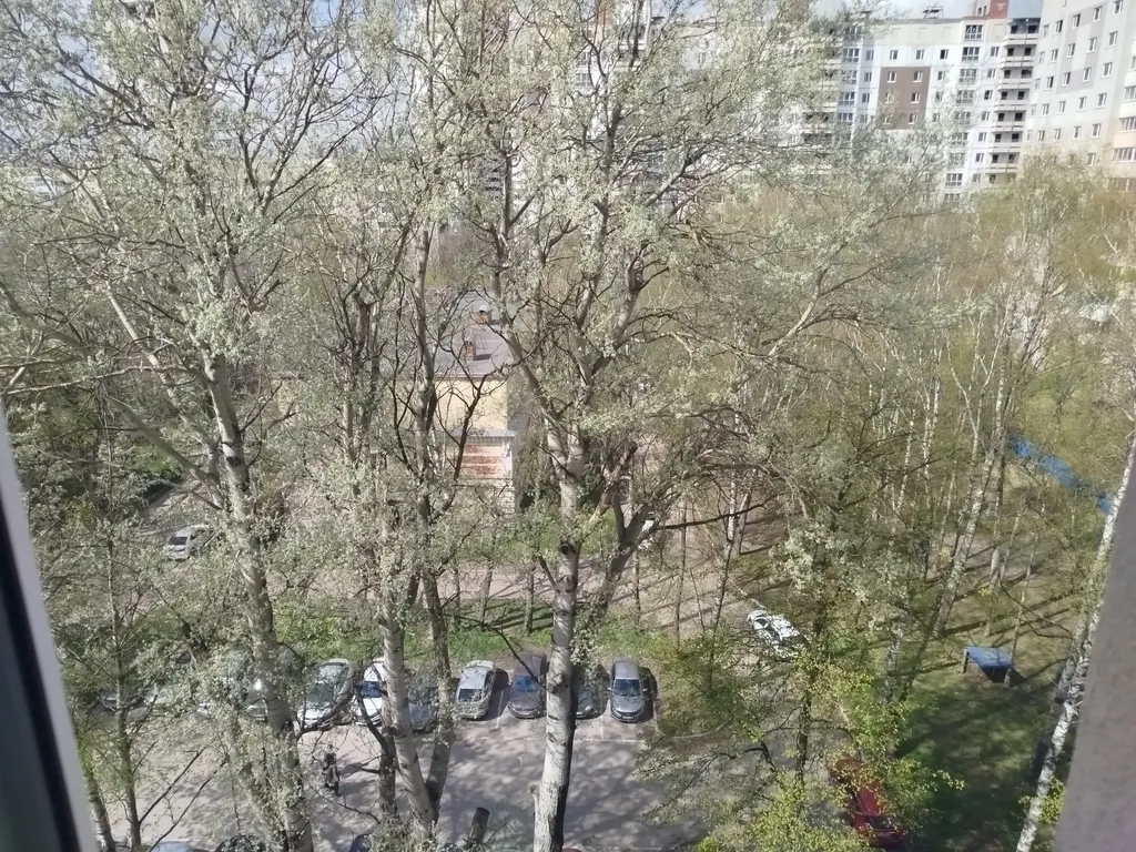 Уютная студия в центре города