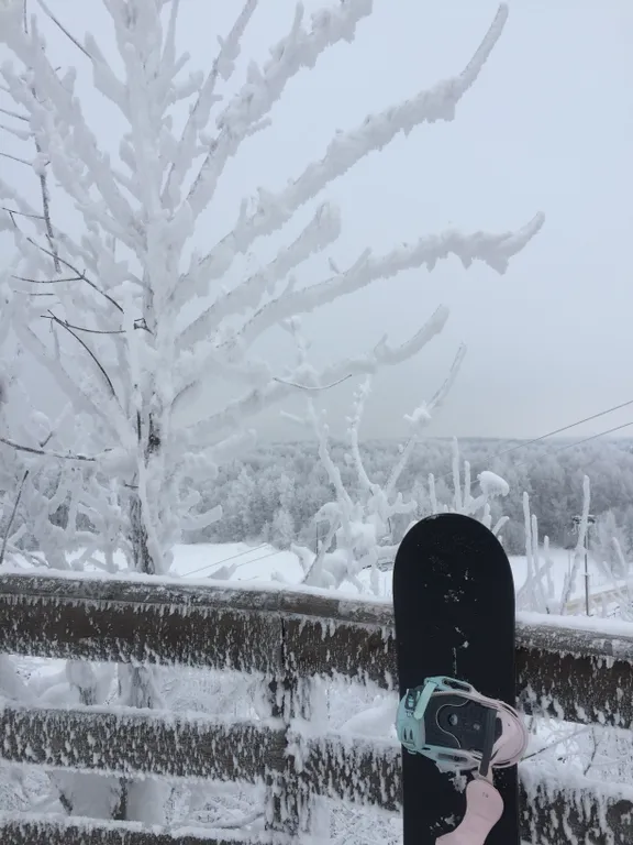 Коттедж с баней и джакузи рядом с горками