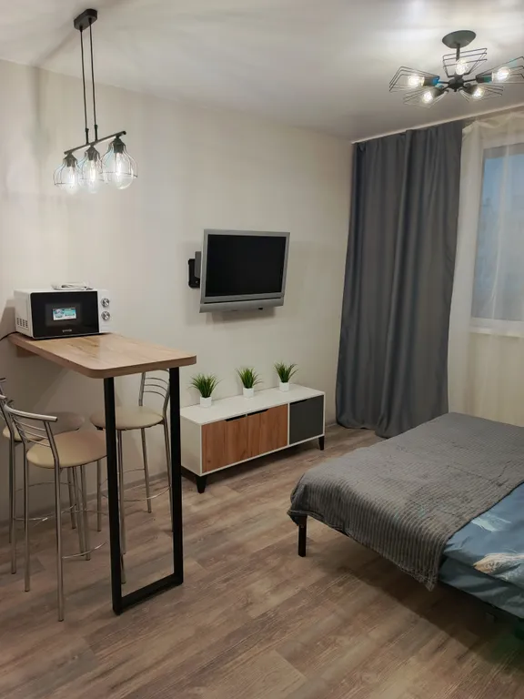 Уютная студия в Спутнике