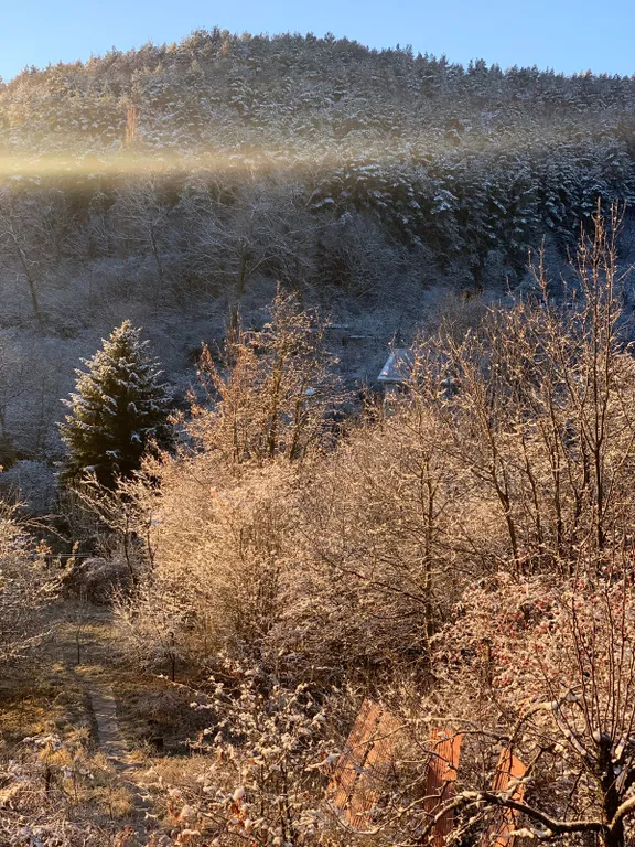 Джилысу transit дача в сосновом бору