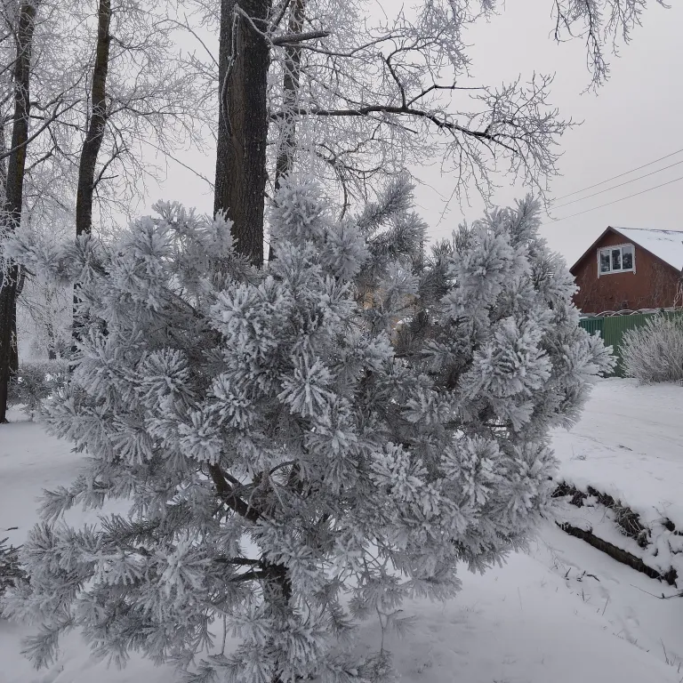 Дом с видом на Селигер