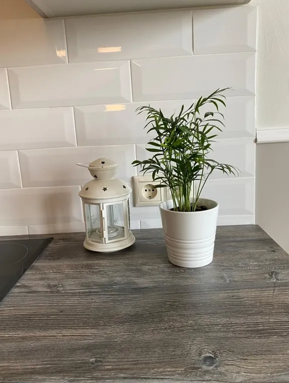 Шикарная двухкомнатная квартира