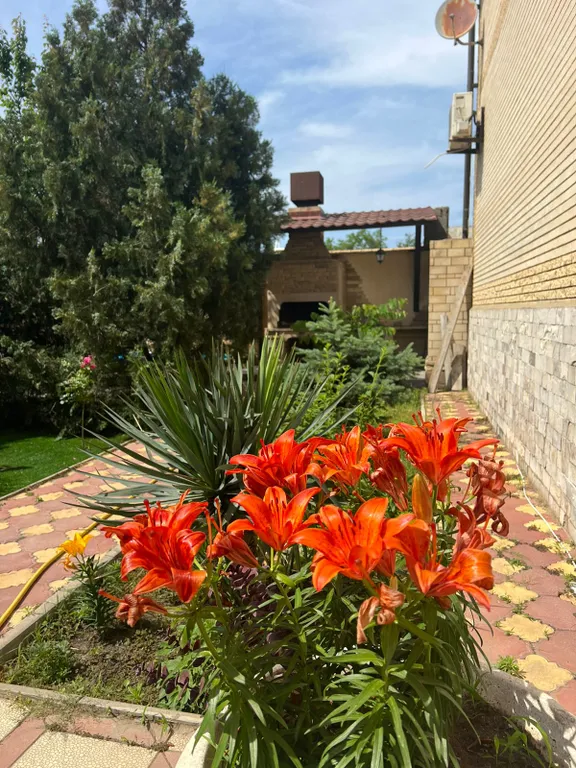 Уютный коттедж на берегу моря