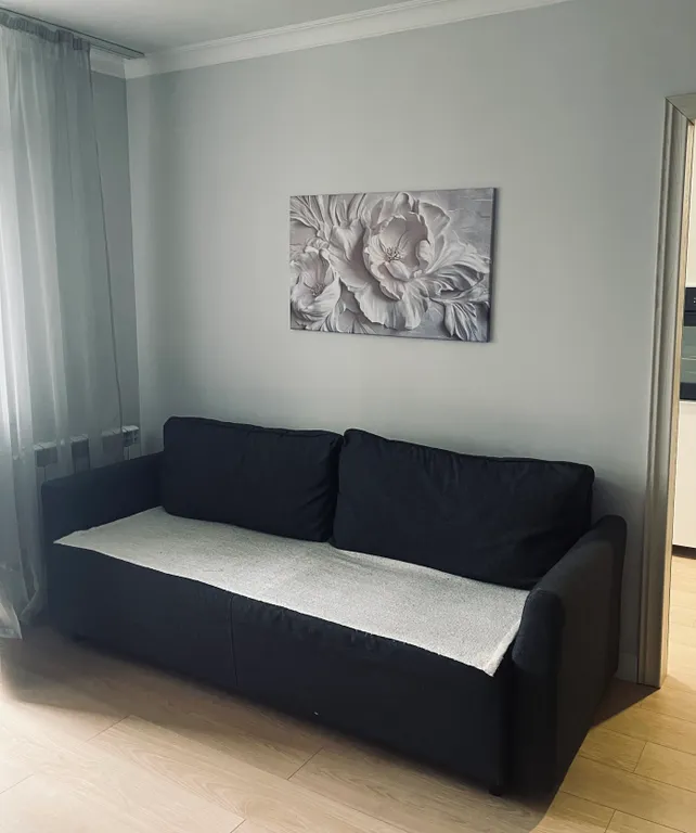 Уютная большая однокомнатная квартира евро двушка