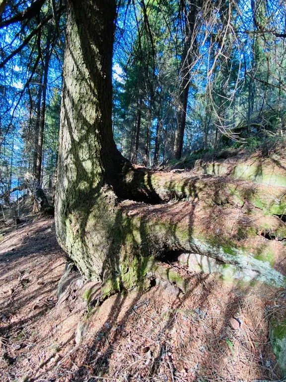 Деревенский дом у озера