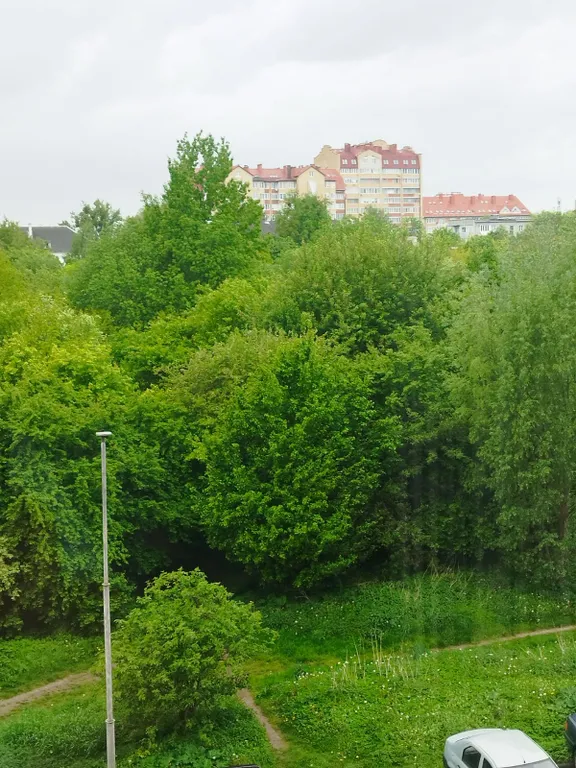 Квартира Комфортная квартира в центре, в новом доме,рядом с Верхним озером. — Калининград