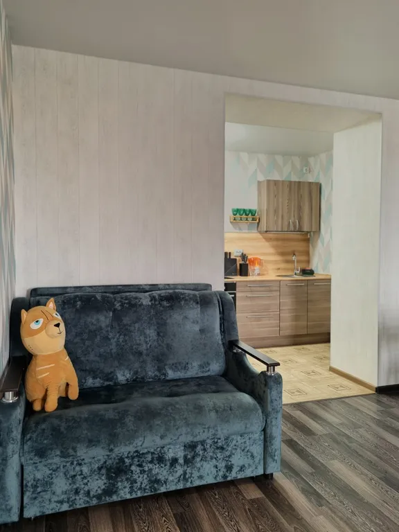 Рыжий Кот на Горке (2-х комнатная квартира в центре)