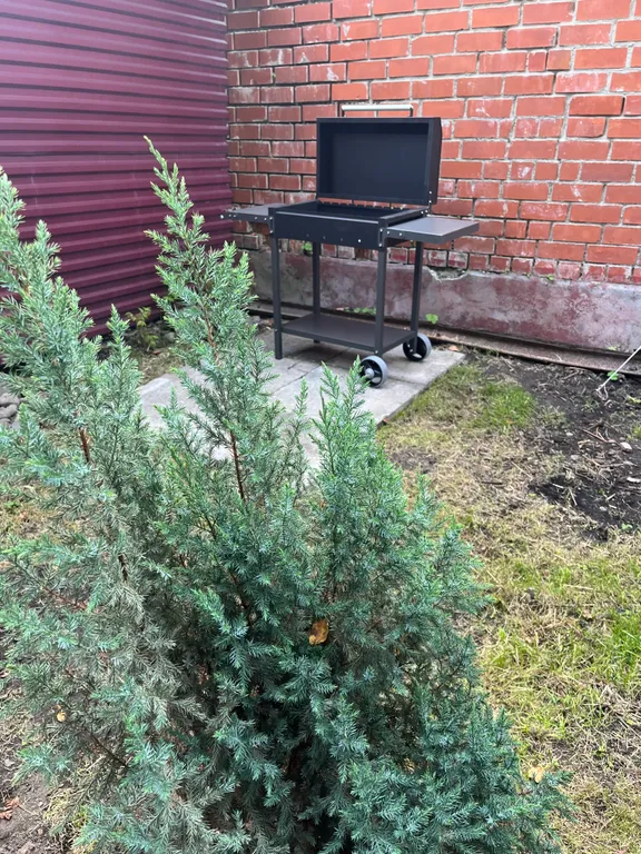 Дом в центре города