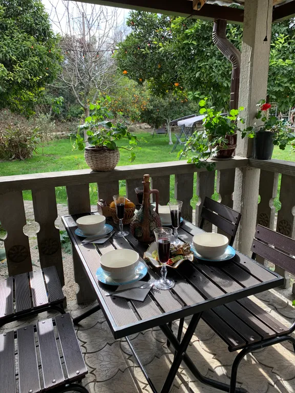 Трехместный уютный номер с террасой.