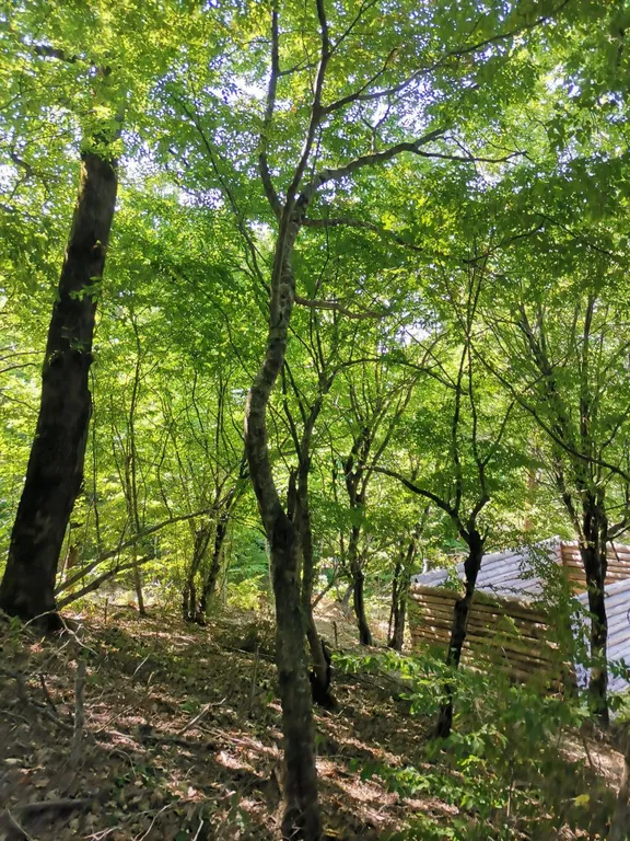Дом в горах с видом на море