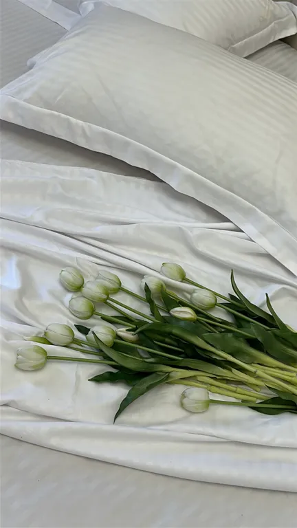 Квартира Квартира Главный проспект и сердце города — Махачкала