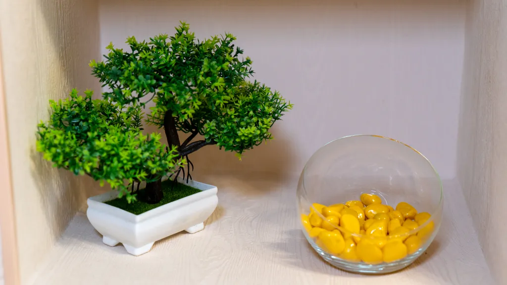 Солнечная студия