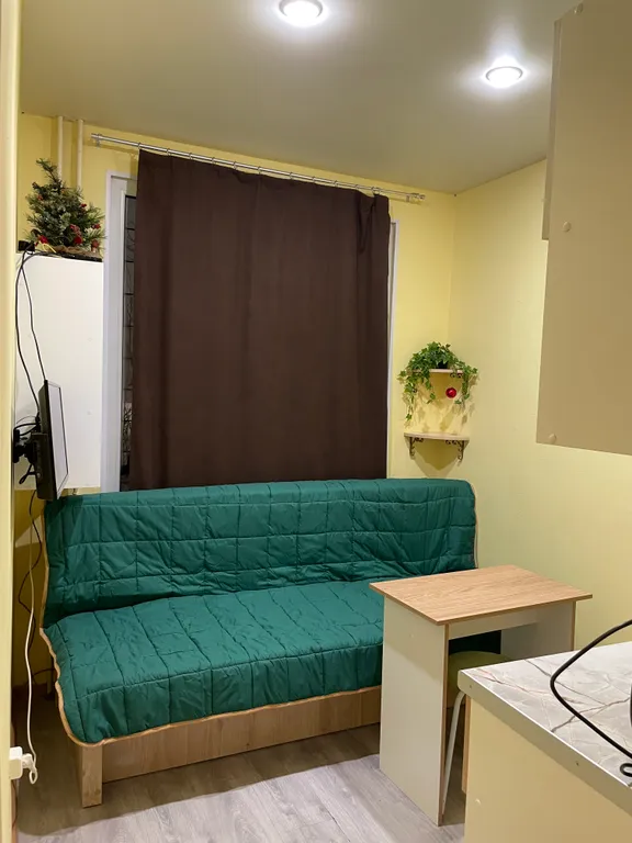 В гостях у гуся