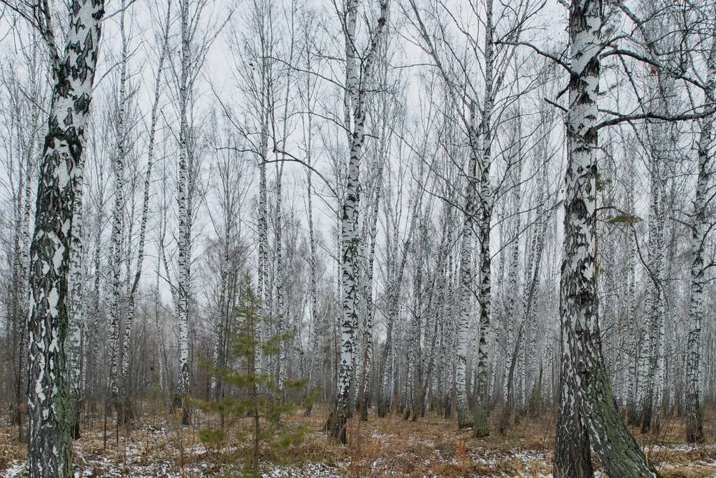 Дом для проживания и небольших мероприятий