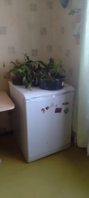 Квартира в центре города