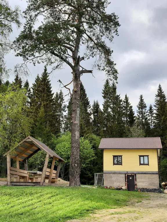 Уютный домик у леса