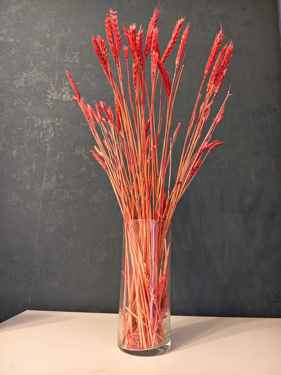 Квартира в новом доме с видом на Московскую площадь