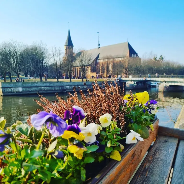 Квартира Уютная квартира в 7 минутах хотьбы до Рыбной деревни и Южного вокзала — Калининград