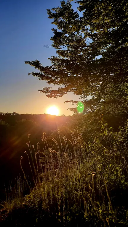 Барн-хаус 2+1 в тишине у леса и горной реки