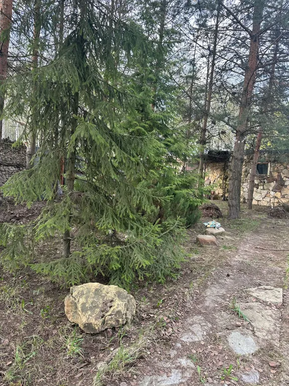 Коттедж Дом с баней, барбекю зоной и большой беседкой — Новый Городок