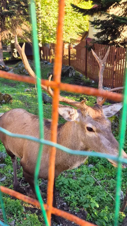 Коттедж "Сказочная долина" Экодомики на склоне горы!!! — Архыз