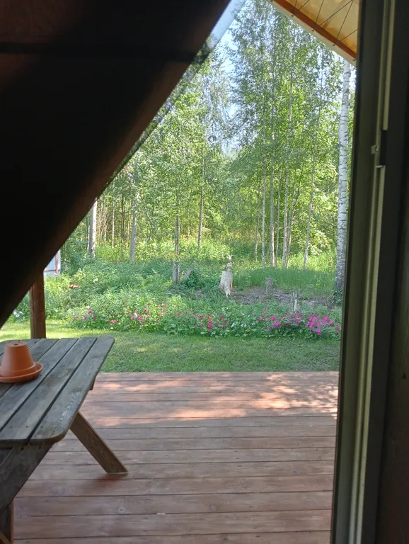 Коттедж Уютный, зимний эко-дом Сафари с потрясающим видом на ручей и лес — Зеленая Роща