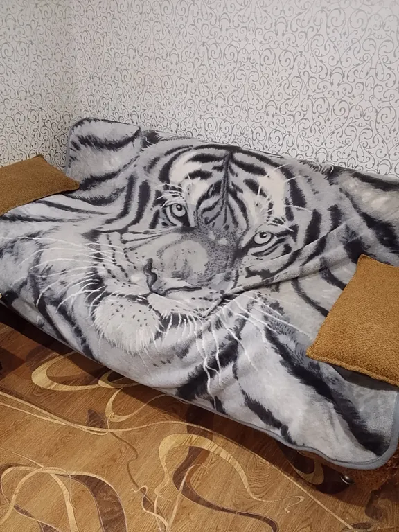 Ночная квартира с поздним ночным заселением