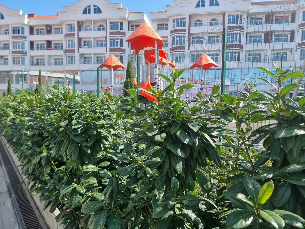 Квартира Квартира у моря 545 — Сочи