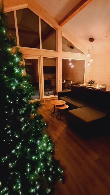 Уютный дом в еловом лесу