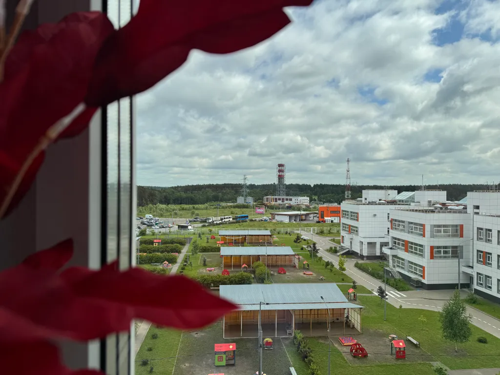 Семейная ретро квартира с видом на лес