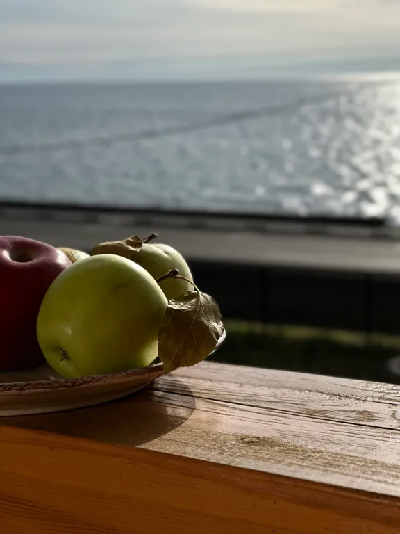 Дом на Байкале «Home.Baikal» с видом на озеро!!!