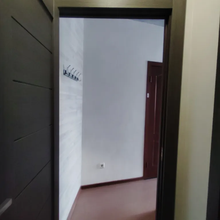 Студия в квартире с персональным санузлом и кухонным блоком